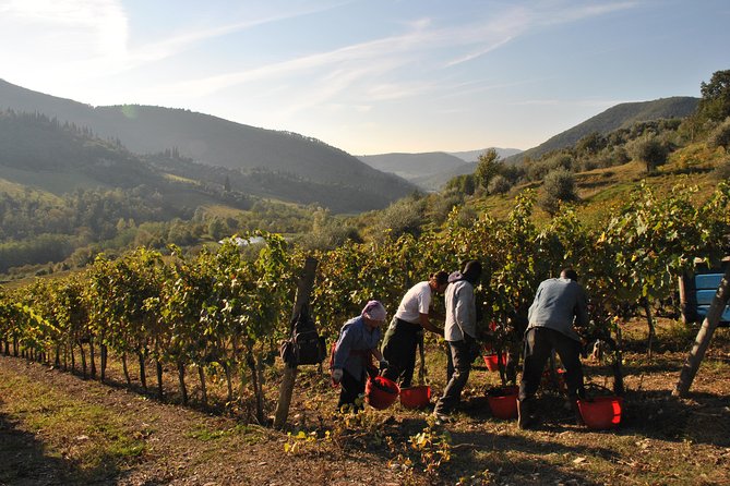 Castle Wine Tasting Tour and Lunch in the Country Close Florence With Transfert - Logistics