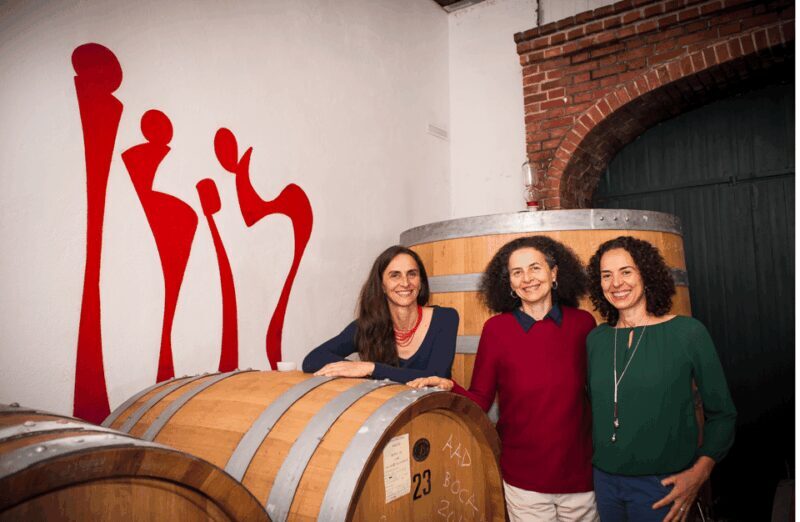 Castle Winery Tour & Tasting near Lake Maggiore - Good To Know