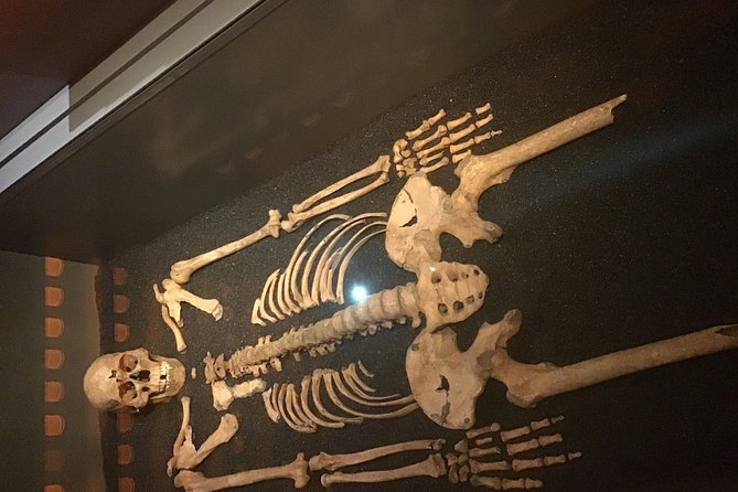 Castles, Crusaders, Communists & Courts - Common Questions