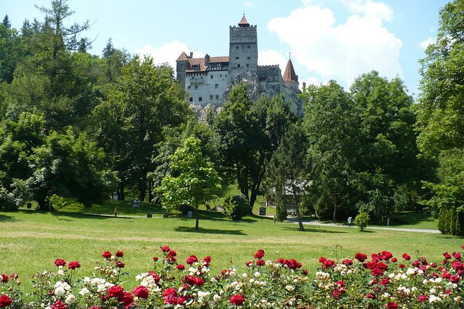 Castles Day Tour Peles - Bran - Rasnov From Brasov - Booking Information