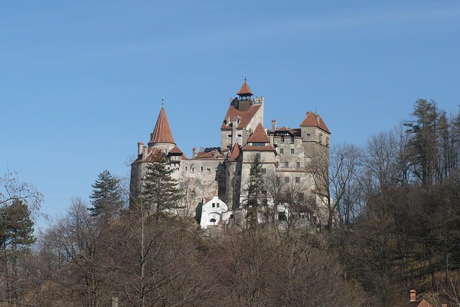 Castles Day Tour Peles - Bran - Rasnov From Brasov - Tour Recommendations