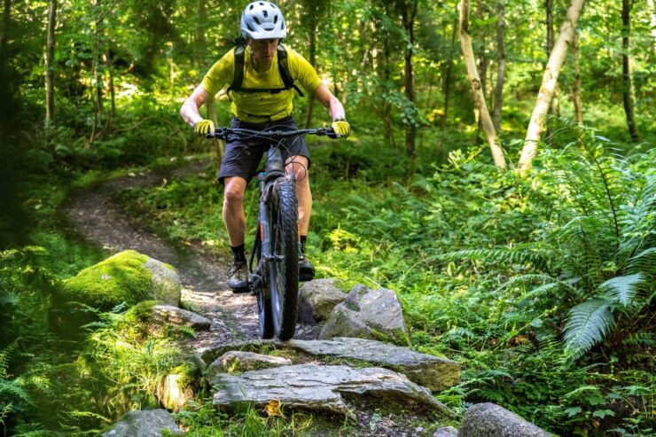 Castlewellan:Electric Mountain Biking Experience - Location and Accessibility
