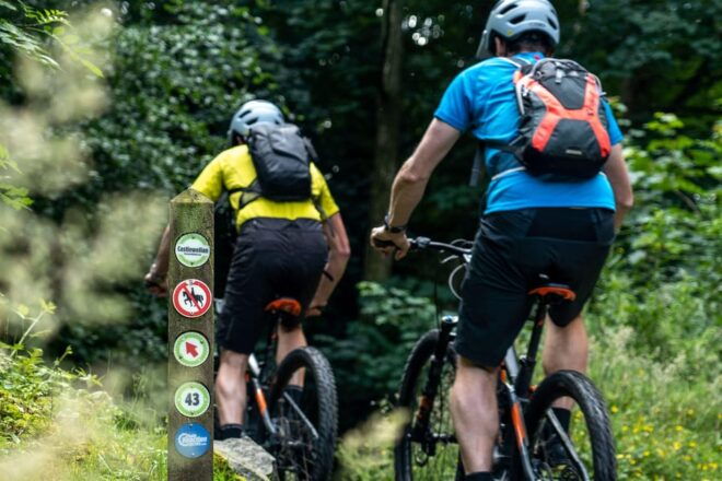 Castlewellan:Electric Mountain Biking Experience - Trail Experience