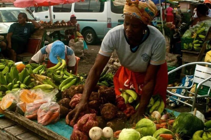 Castries: Guided City Architecture and Castries Market Tour - Why This Tour Offers Value