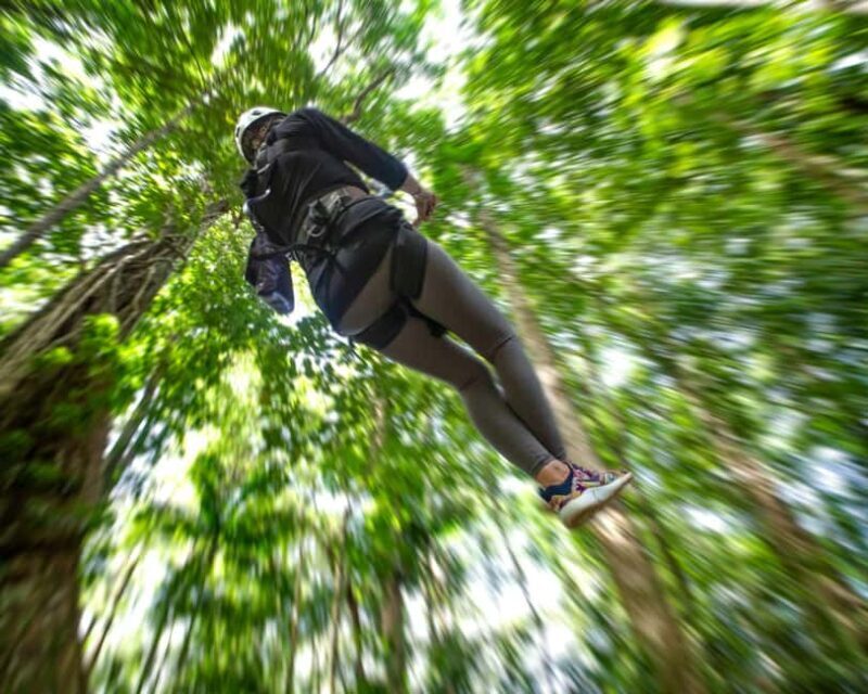 Castries, St. Lucia - Adrenaline Zipline - What Reviewers Say: Authentic Perspectives