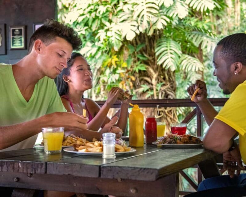 Castries, St. Lucia  Guided Birdwatching Tour - Practical Details and Tips