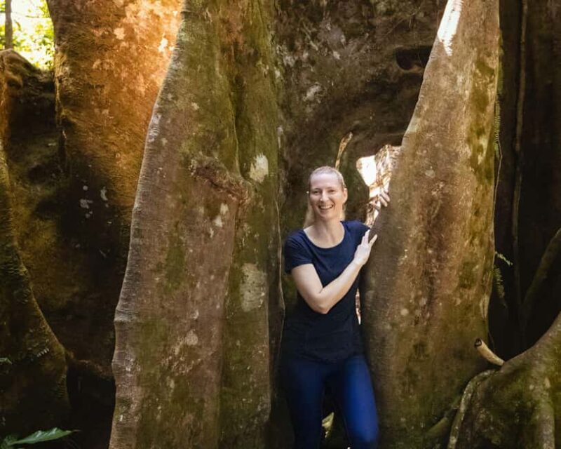 Castries St Lucia: Guided Rainforest Hike  Jacquot Trail - Who Will Love This Experience?