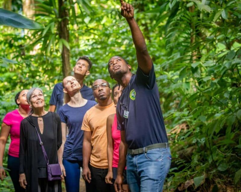 Castries St Lucia: Guided Rainforest Hike  Jacquot Trail - Final Thoughts