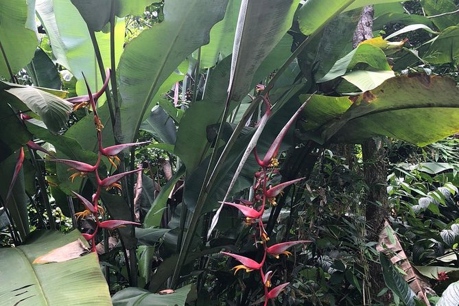 Casual One Puerto Rico: El Yunque Rainforest, Waterslide, Beach, Dine, and Shop - Additional Information