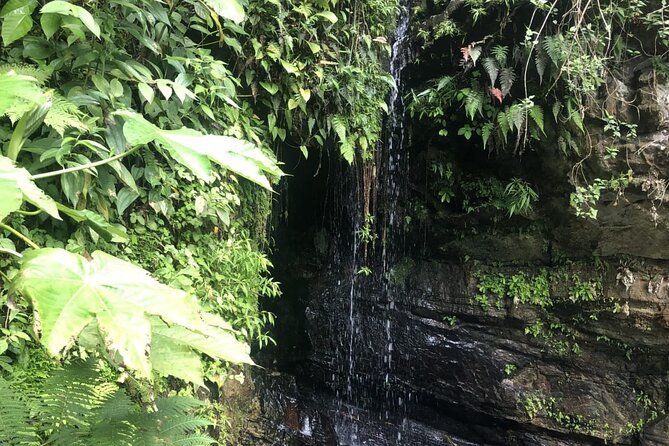 Casual One Puerto Rico: El Yunque Rainforest, Waterslide, Beach, Dine, and Shop - Directions