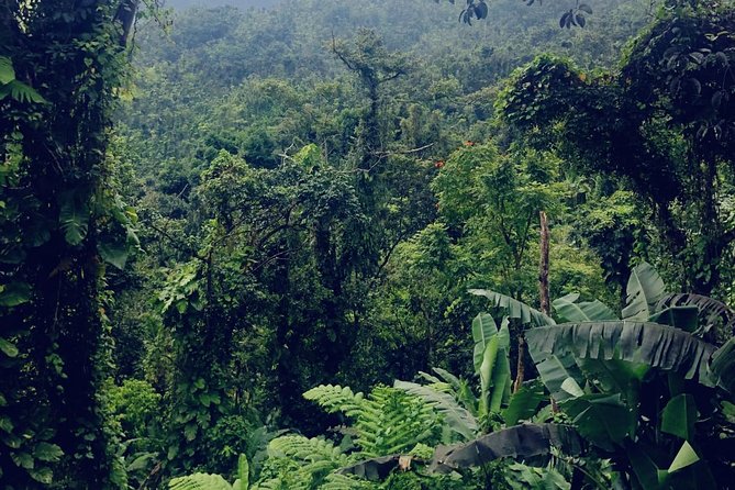 Casual One Puerto Rico: El Yunque Rainforest, Waterslide, Beach, Dine, and Shop - Itinerary