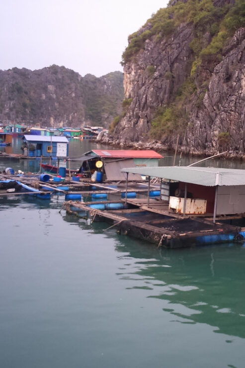 Cat Ba: 2-Day Lan Ha Bay Cruise With Plankton Excursion - Good To Know