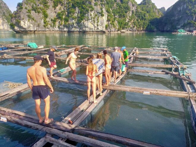 Cat Ba: 2-Day Lan Ha Bay Cruise With Plankton Excursion - Important Information
