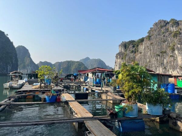 Cat Ba: 2-Day Lan Ha Bay Cruise With Plankton Excursion - What to Expect
