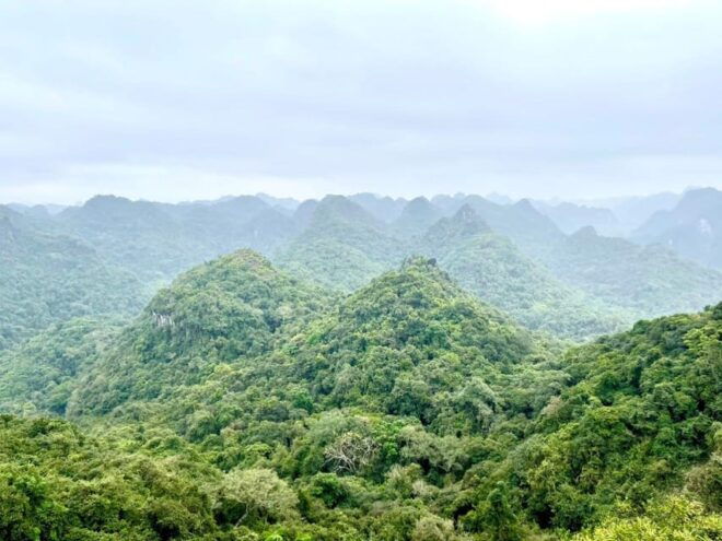 Cat Ba 2 Day Trip : Luxury Cruise, National Park, Beach - Transportation Options
