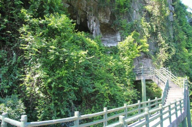 Cat Ba 2 Day Trip : Luxury Cruise, National Park, Beach - Accommodation Details