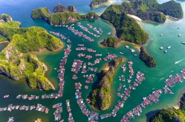 Cat Ba 2 Day Trip : Luxury Cruise, National Park, Beach - Tips for a Great Experience
