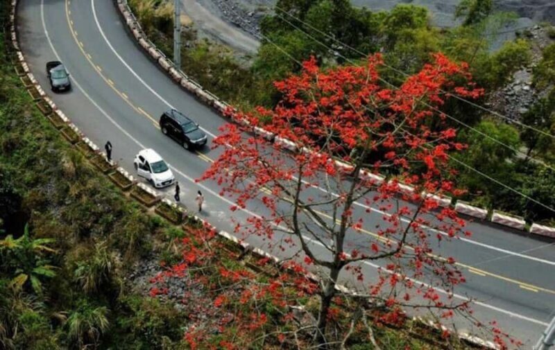 Cat Ba: E-Bike Rental  Easy & Eco Way to Explore the Island - The Sum Up