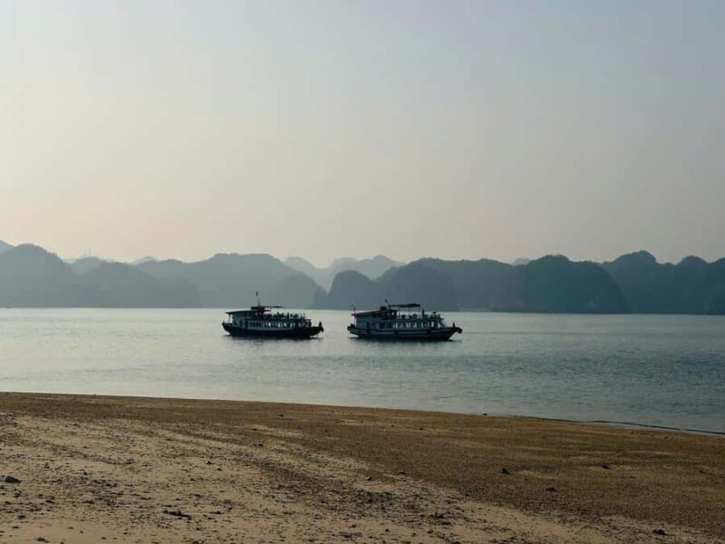 Cat Ba/Ha Noi: Night Kayaking with Glowing Plankton - Authenticity, Value, and Experience Quality
