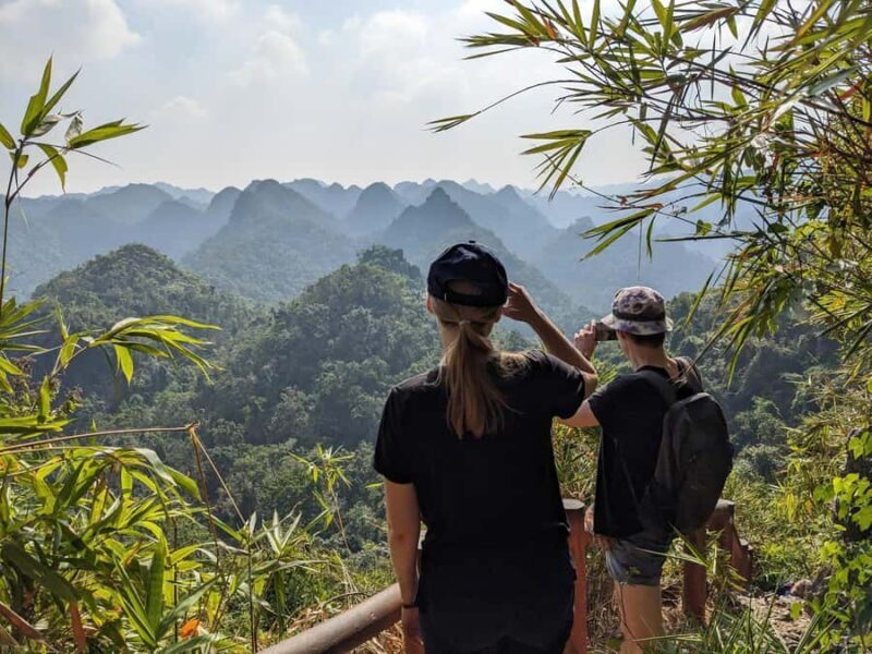 Cat Ba: Half Day Trekking to Visit Cat Ba National Park - Authentic Reviews: What Travelers Are Saying