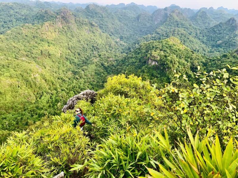 Cat Ba: Half Day Trekking to Visit Cat Ba National Park - Final Thoughts: Who Will Love This Tour?