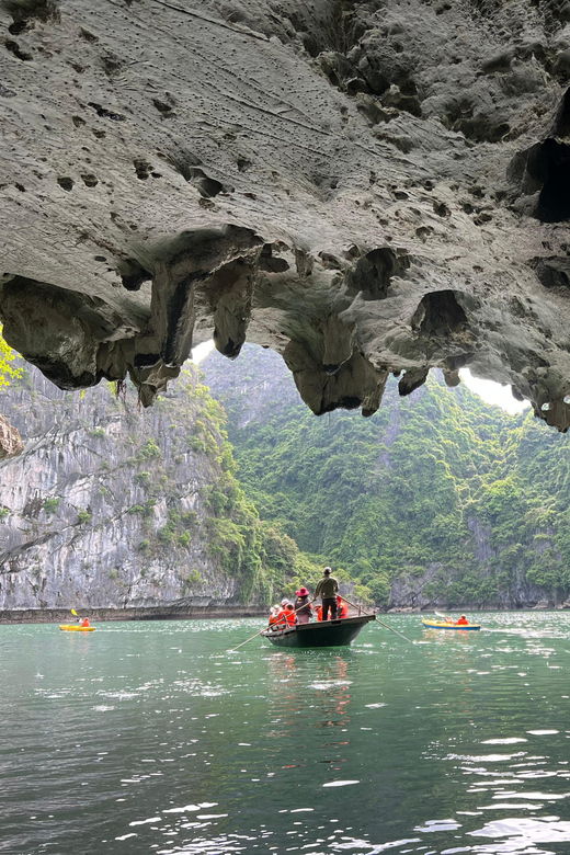 Cat Ba Island: Lan Ha Bay Bioluminescence Plankton Kayaking - Good To Know