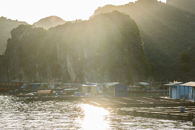 Cat Ba Island - Lan Ha Bay Day Trip: Kayaking, Swimming and Meal - Who Will Love This Experience?