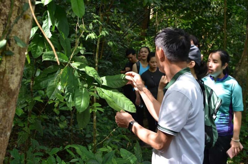 Cat Ba Island: National Park Cycling Tour with Picnic Lunch - Good To Know