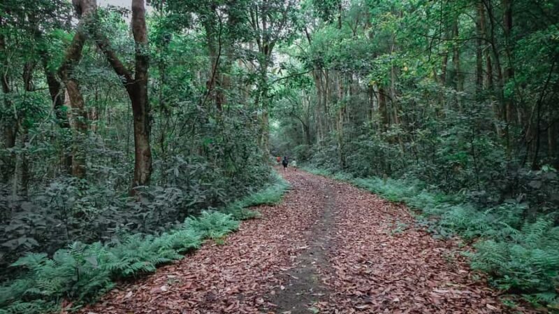 Cat Ba Island: National Park Cycling Tour with Picnic Lunch - Pricing and Value Considerations