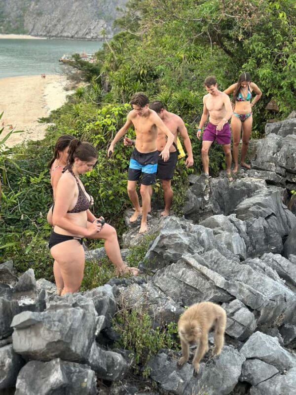 Cat Ba : Lan Ha Bay Boat Tour , Monkey Island and Sunset - Practicalities and Tips for Travelers