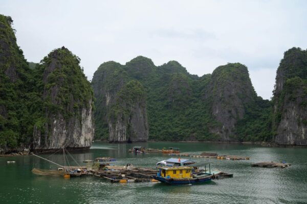 Cat Ba: Lan Ha Bay, Cat Ba, Kayaking, Fishing Village, Lunch - Essential Tips for Travelers