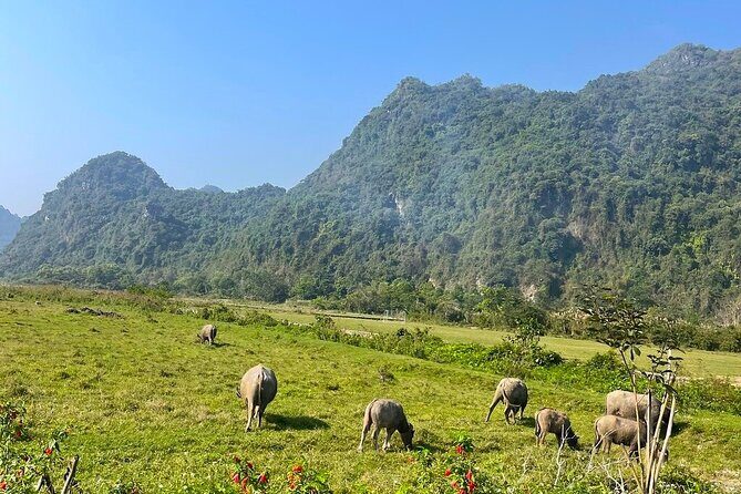 Cat Ba- Lan Ha Bay Day Trip Best Selling: Kayaking, Biking, Lunch - An Honest Look at the Cat Ba - Lan Ha Bay Day Trip