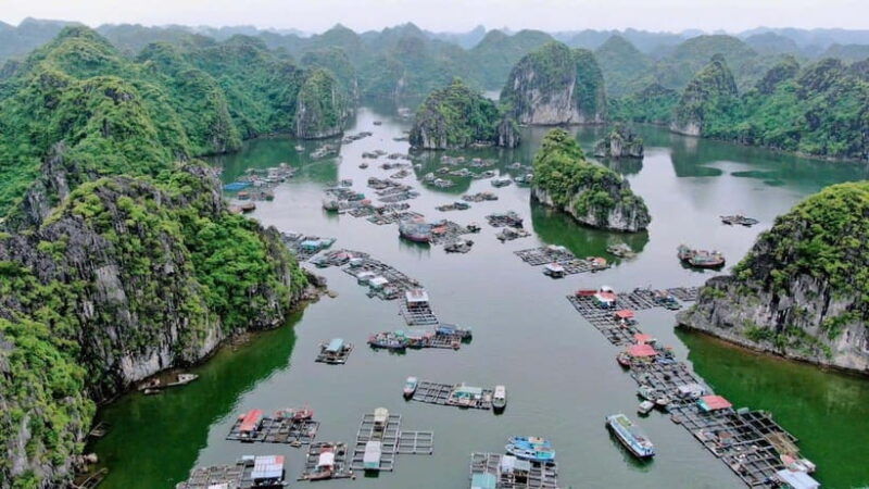 Cat Ba: Lan Ha Bay Halfday Cruise With Kayaking - Good To Know