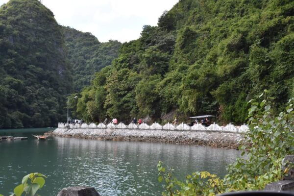 Cat Ba: Lan Ha, Halong Bay Full Day- Biking, Kayaking, Lunch - Transportation Options