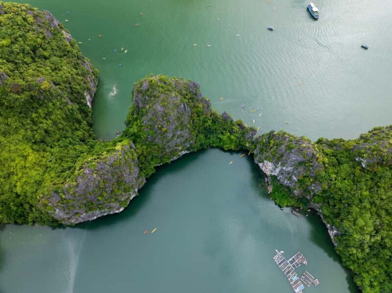Cat Ba: Lan Ha-Halong Bay, Viet Hai Village, Monkey island - Who Will Love This Tour?