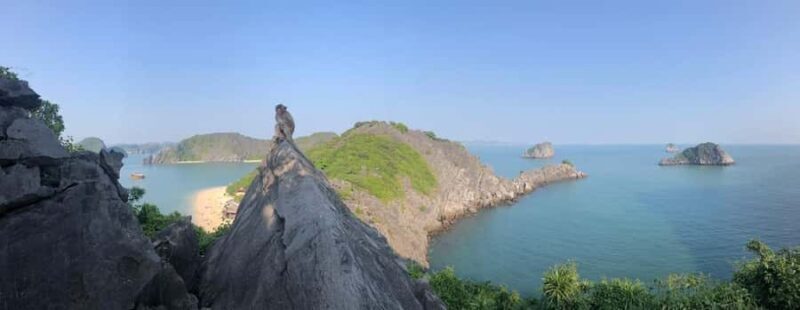 Cat Ba: Lan Ha & Halong bay with kayak, bike, Monkey island - Final Thoughts: Who Is This Tour Best For?