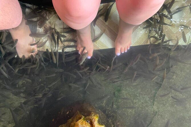 Cat Ba: Modern & Luxury 5* Serenity Cruise Discover Lan Ha Bay - Frequently Asked Questions