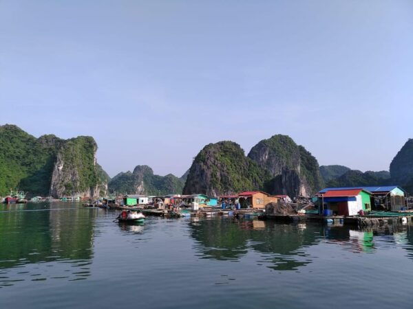 Cat Ba National Park Adventure Tour With Cycling, Trekking - Important Travel Information