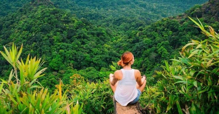 Cat Ba National Park Full-Day Trek, Village & Kayak Tour - Itinerary Highlights