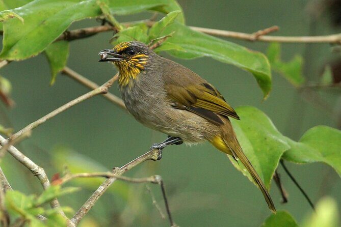 Cat Ba National Park Full Day Trekking, Biking from Cat Ba Island - The Sum Up
