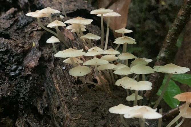 Cat Ba National Park Full Day Trekking Tour to Viet Hai Village - Final Thoughts