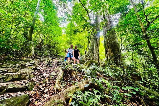 Cat Ba National Park Full Day Trekking Tour to Viet Hai Village - What Reviewers Love About This Tour