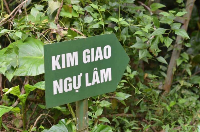 Cat Ba National Park: Secret Jungle Trek & Hidden Caves - Trung Trang Cave: A Fairy-tale of Stalactites