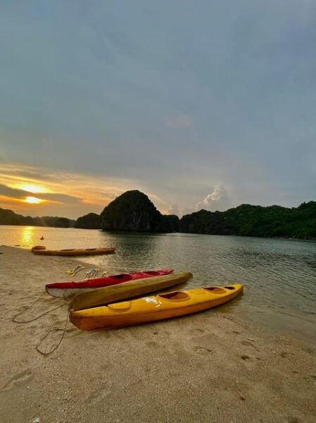 Cat Ba: Sunset and Plankton Bioluminescent Night Kayak - Important Reminders
