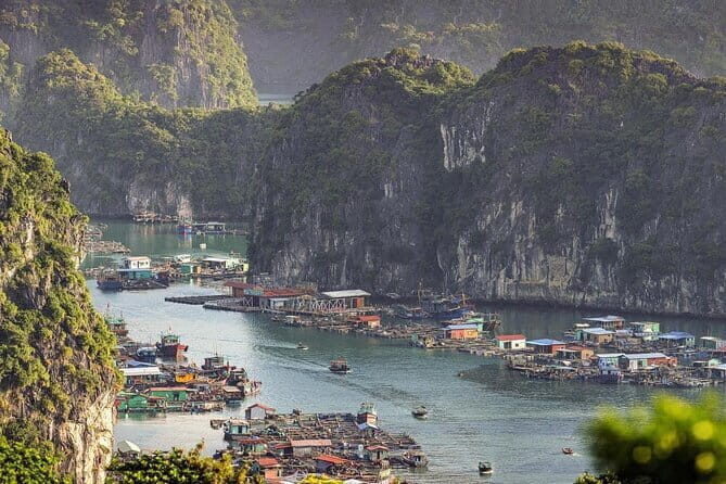 Cat Ba: Sunset & Bioluminescent Kayaking on Lan Ha Bay - Who Is This Tour Perfect For?  