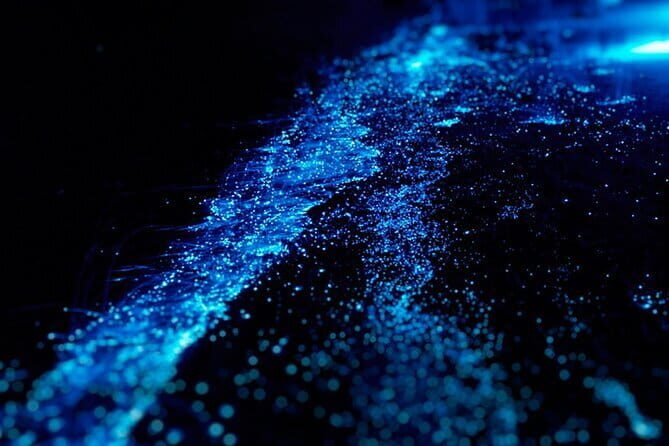 Cat Ba: Sunset & Bioluminescent Kayaking on Lan Ha Bay - Who Should Book This Tour?