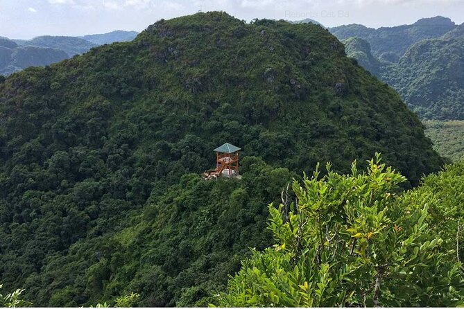 Cat Ba Trekking Tours National Park Half Day From Cat Ba Island - Spotting Exotic Birds and Butterflies