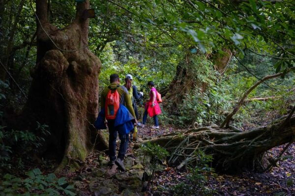 Cat Ba_Sup/Trekking Conquering Cat Ba Forest and Lan Ha Bay - Frequently Asked Questions