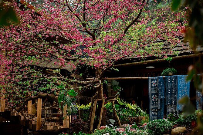 Cat Cat Village Half Day Walking Tour in Sapa - FAQs