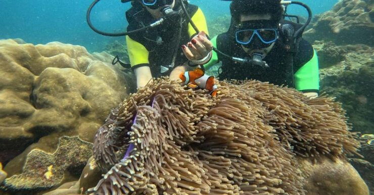 Cat Island Phuket: Scuba Diving and Relaxing on Island - Scuba Diving Experience